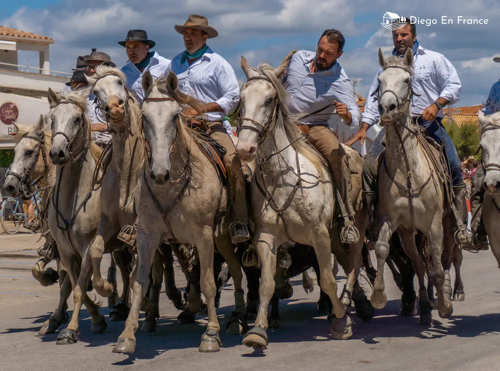 Grupo de jinetes camargueses cabalgando por el pueblo durante una festividad local. Fotografía de diegoenfrance.com