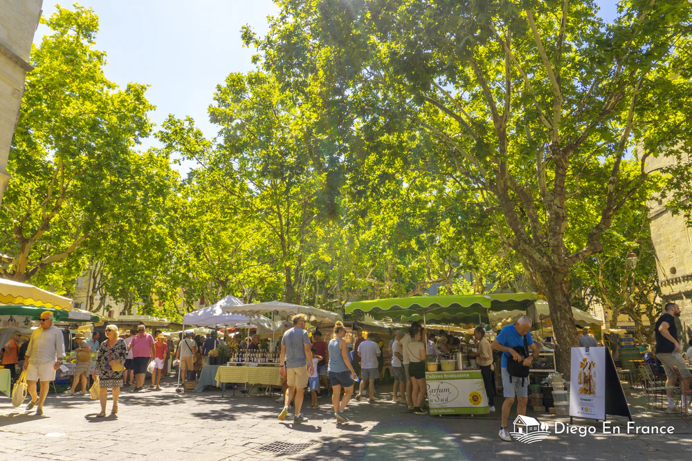 Que faire à Uzès: Guide des 20 Meilleures Expériences pour toute la famille