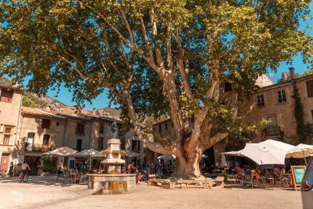 Plaza de la Libertad arbolada con terrazas y fuente, punto de encuentro en Saint-Guilhem-le-Désert