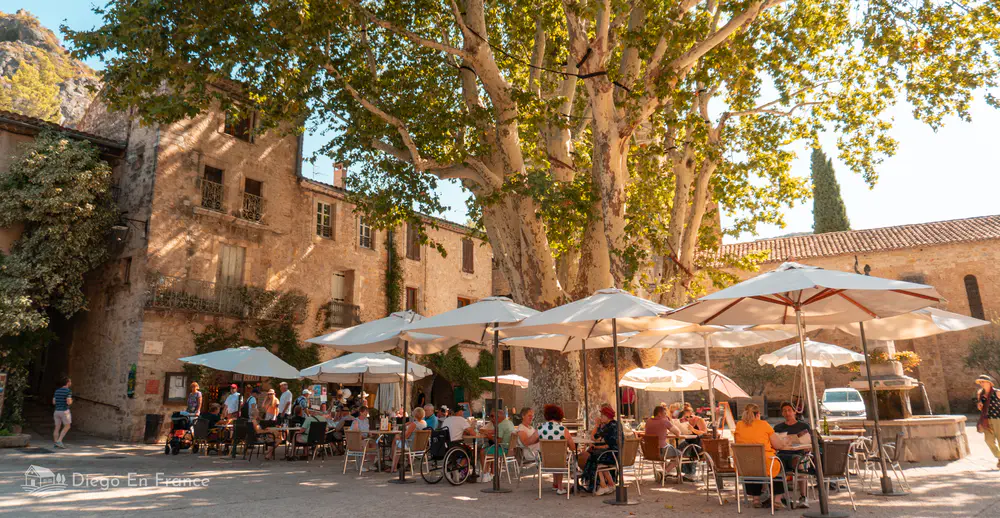 Personas sentadas en terrazas bajo grandes árboles en plaza histórica de Saint-Guilhem-le-Désert.