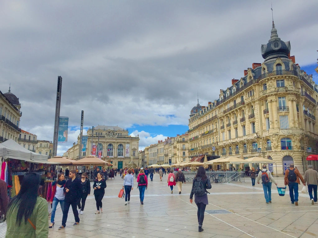 dégustation vin montpellier dégustation vin montpellier