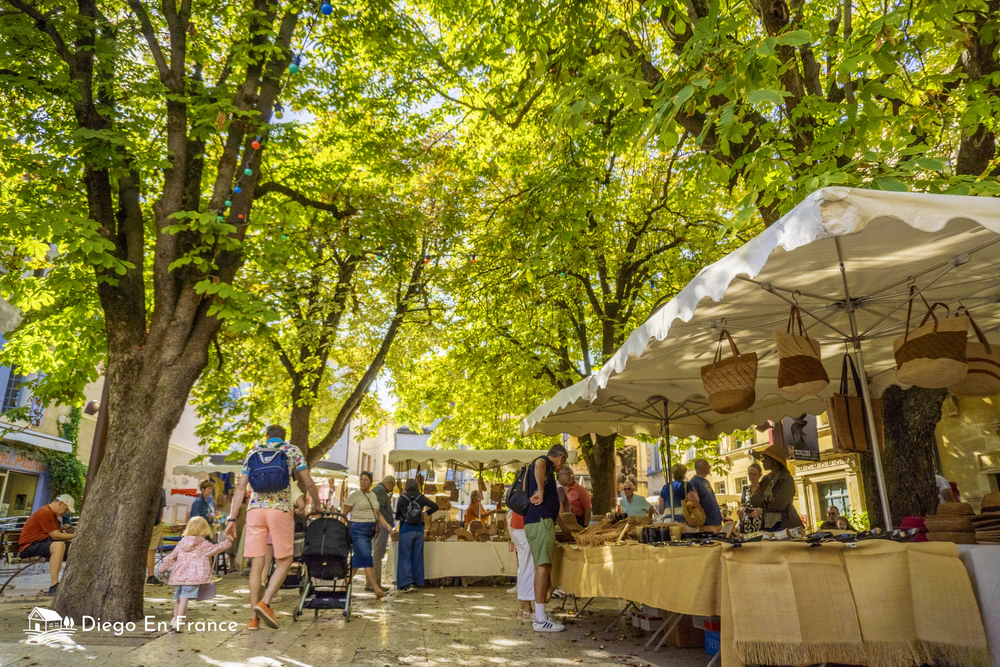 Fotografía de diegoenfrance.com del mercado semanal de Saint Remy, una experiencia sensorial esencial que ver en Saint Remy de Provence.