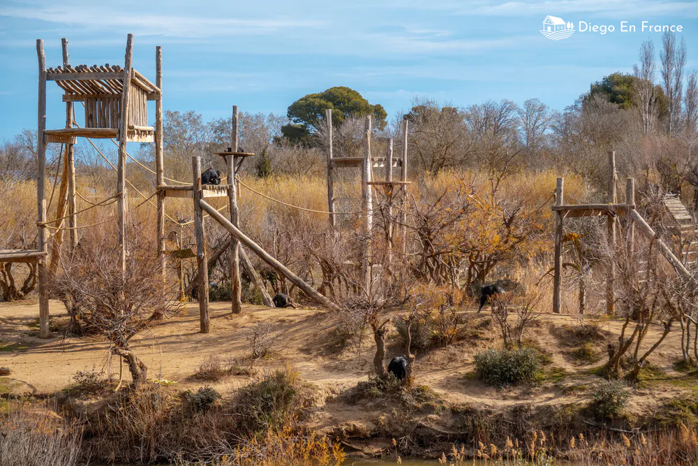 Fotografía de diegoenfrance.com de área de juego para monos en la Reserva Africana de Sigean.