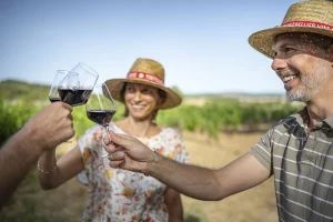 Tour Vinos Montpellier