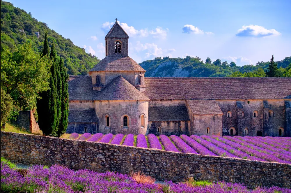 The iconic Sénanque Abbey in Gordes, Provence, surrounded by fields of flowering lavender, a symbol of monastic serenity.