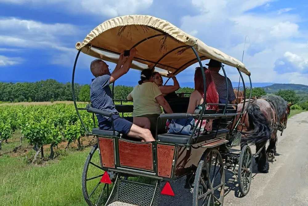 Fotografía de un paseo en carruaje familiar entre viñedos cerca de Gordes, en la Provenza