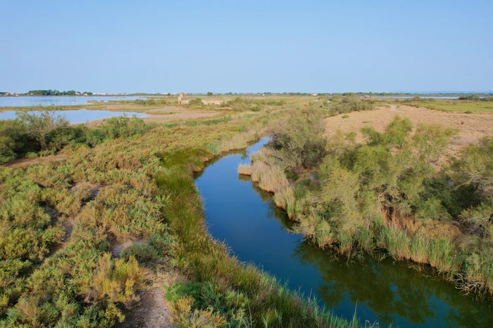 Camargue