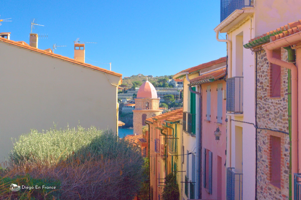 Visit Collioure: Top reasons to bring your Family