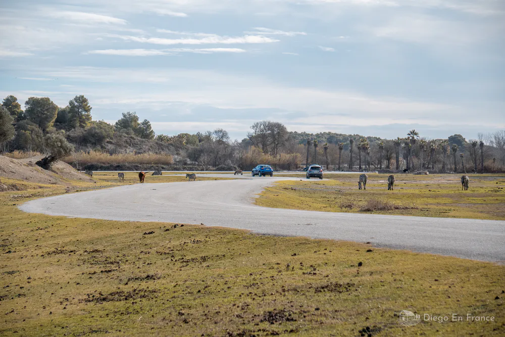 Families observing wild animals in the Sigean African Reserve.