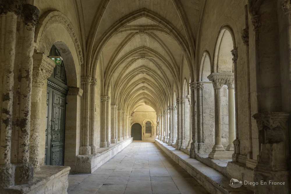 Photo by diegoenfrance.com portraying the serene architecture of the cloister, one of the cultural must-sees of Arles.