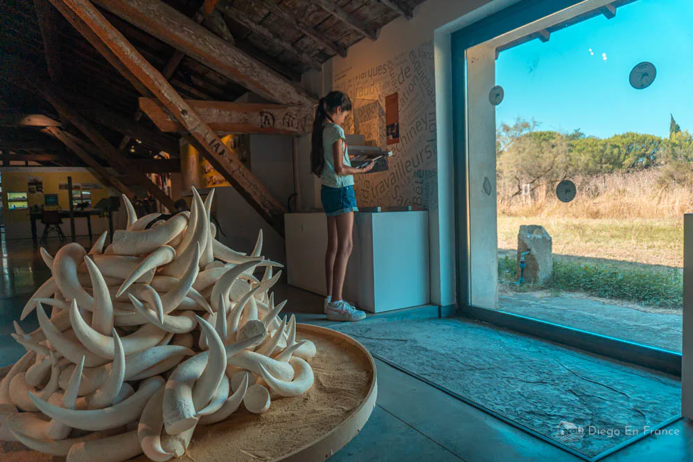 Fotografía de diegoenfrance.com de una sala del Museo de la Camargue en Arles, con objetos típicos y panorámicas de la naturaleza local
