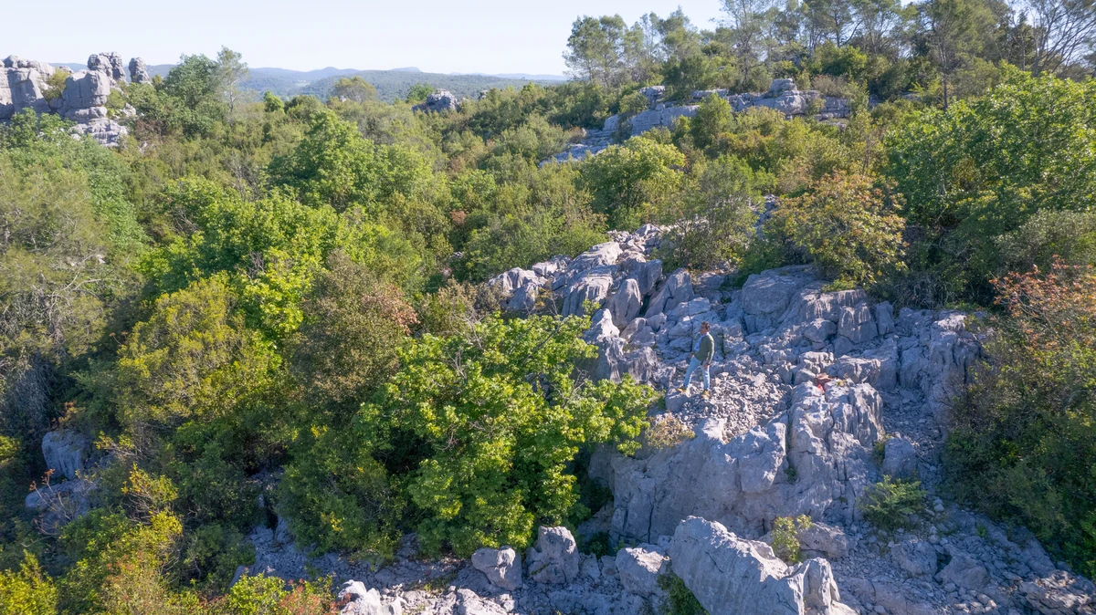 Mer des Rochers à Sauve: Beauté Sauvage