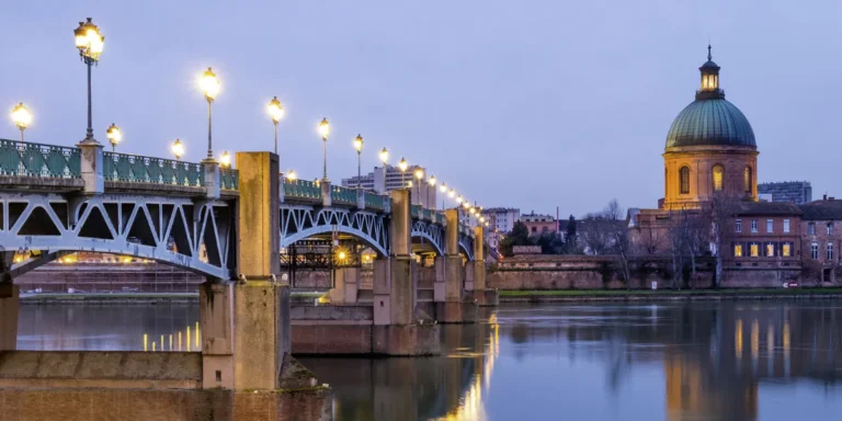 Una vista de Toulouse con el rio en primer plano y con la cupula de catedral en el horizonte.