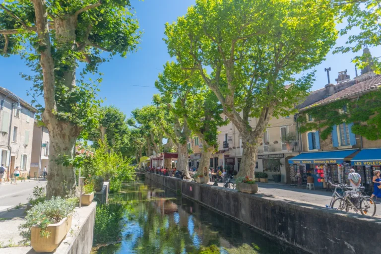 Ultimate Family Guide to Goudargues, South of France