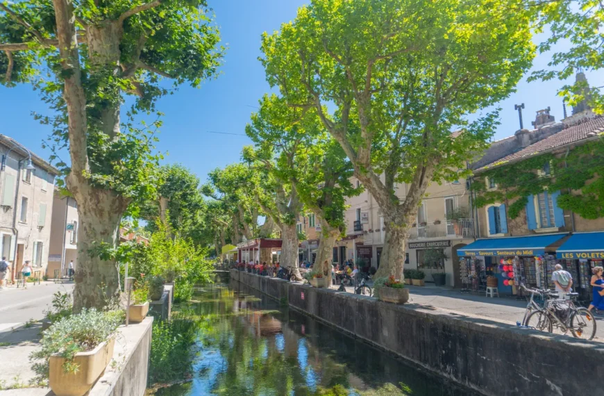Ultimate Family Guide to Goudargues, South of France