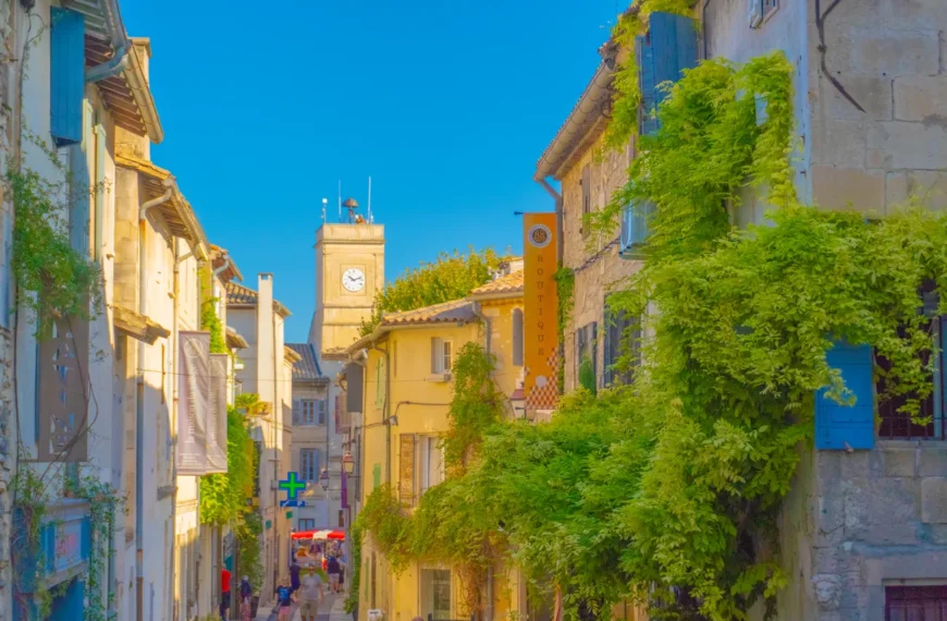 Best 15 Things to Do in Saint Rémy de Provence