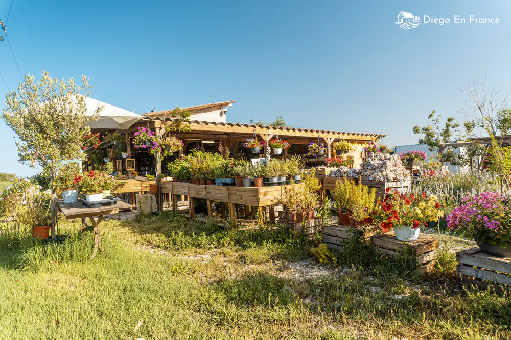 Photographie de diegoenfrance.com d’un marché artisanal parmi les fleurs et les plantes dans la campagne camarguaise
