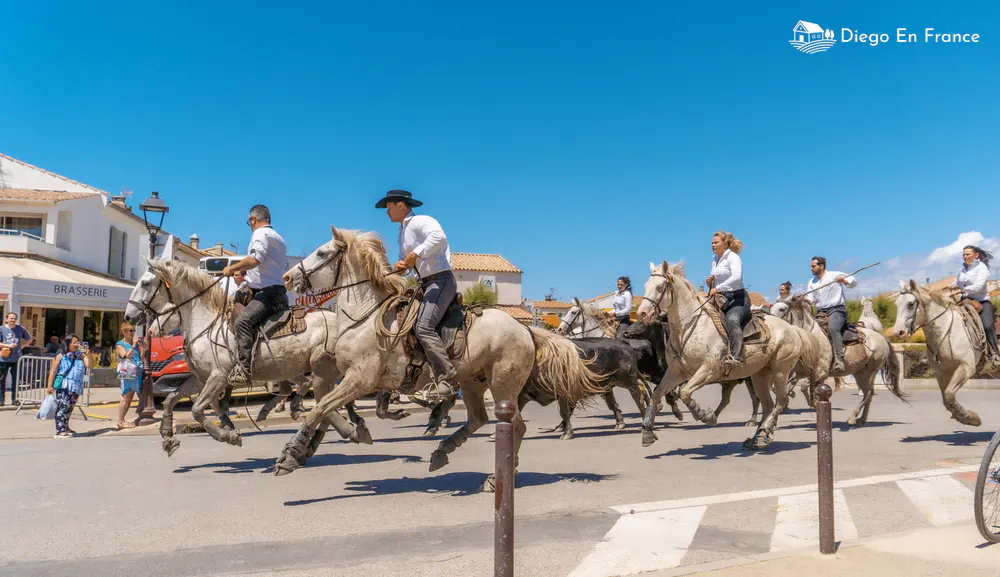 Photographie de diegoenfrance.com capturant l’énergie de la tradition camarguaise en plein mouvement