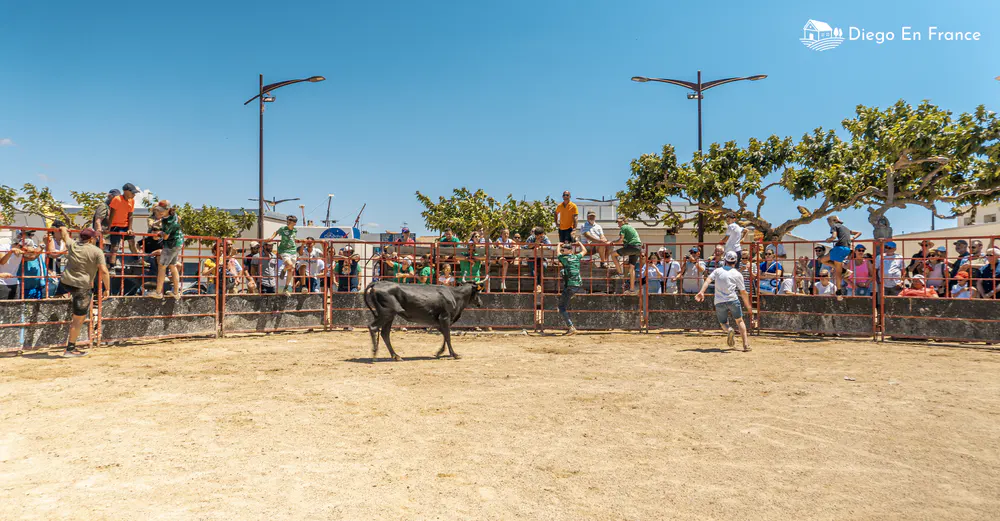 Photographie de diegoenfrance.com d’une arène improvisée pendant les jeux taurins traditionnels