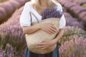 Qué ver en la Provenza: 30 ideas increíbles para disfrutar en familia