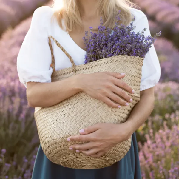 Best Things to Do in Provence: 30 Unmissable Experiences for Families