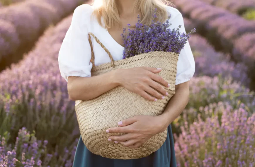Que faire en Provence en famille : 30 activités incontournables pour des…