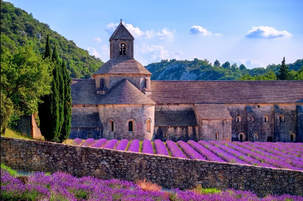 Vista frontal de la Abadía de Sénanque con campos de lavanda floreciendo al pie del edificio.