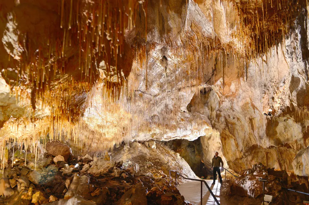 Interior de una cueva natural con estalactitas iluminadas y pasarela para visitantes.