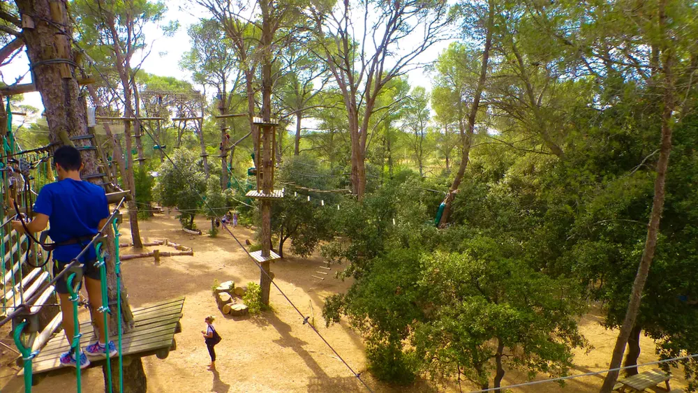Niños participando en un circuito aéreo en un parque de cuerdas entre pinos provenzales. Fotografía de diegoenfrance.com