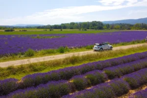 Que faire aux Baux de Provence : 11 aventures incontournables pour la famille