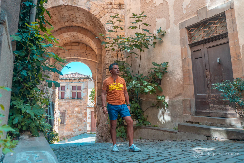 Arco de piedra con calle empedrada y plantas