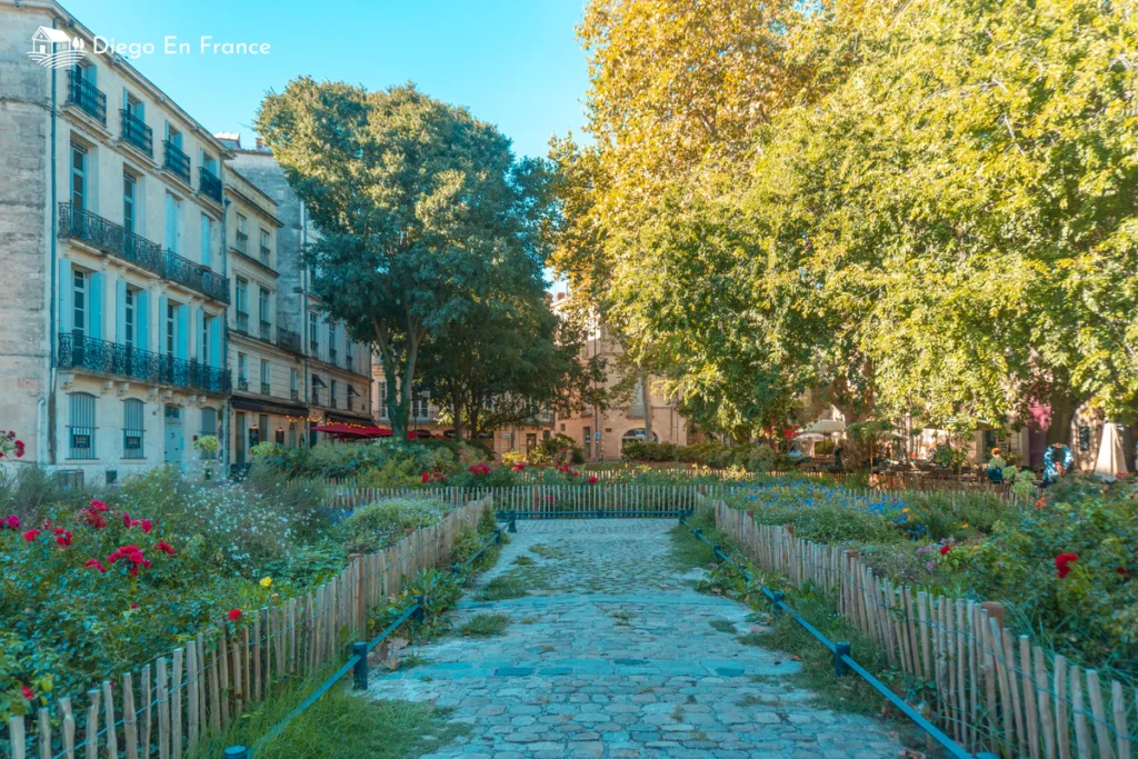 What to do in Montpellier beyond the usual. 7 spots that feel like a small village 