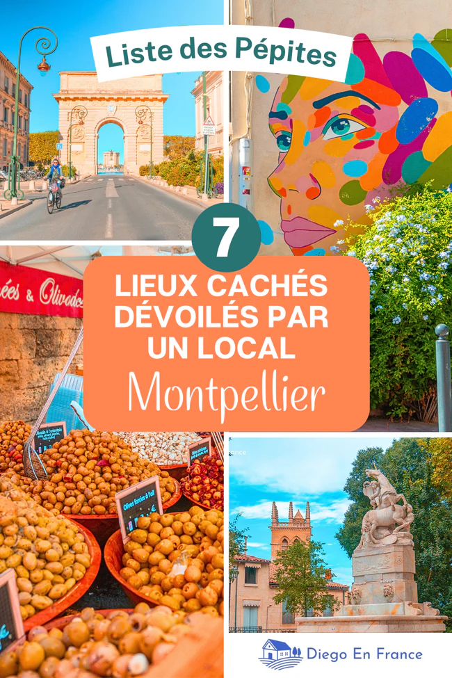 Que faire à Montpellier:
La Place de la Canourgue
la rue de la Vieille
l’Arc de Triomphe
Le Quartier de la Méditerranée
le Marché des Arceaux
Halles du Lez
Square de la Babote
les meilleures routes des vins à faire à Montpellier