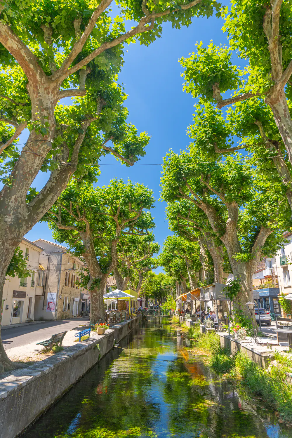 Straight canal lined with trees and reflections in the water in a village in the south of France