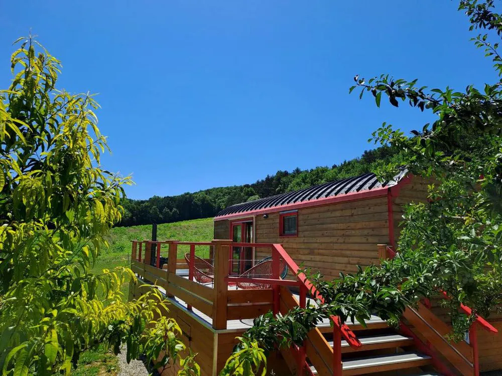 Wooden caravan surrounded by greenery in Castelnau-de-Montmiral, alternative rural lodging