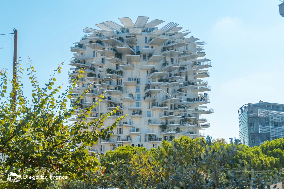 The 9 least-visited places to explore in Montpellier