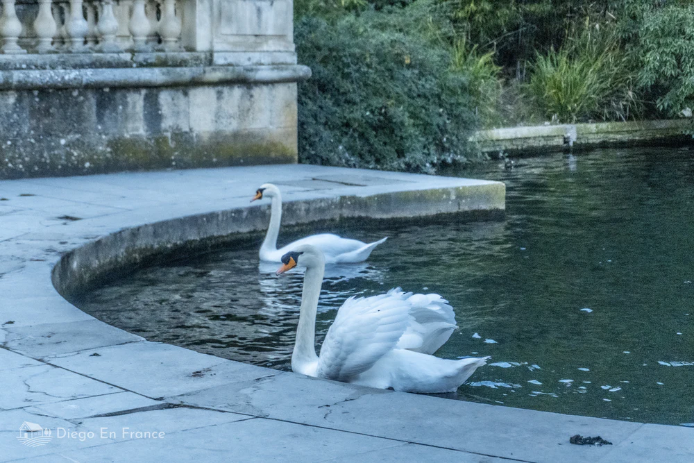 Things to do in Nîmes, France : Le Jardin de la Fontaine