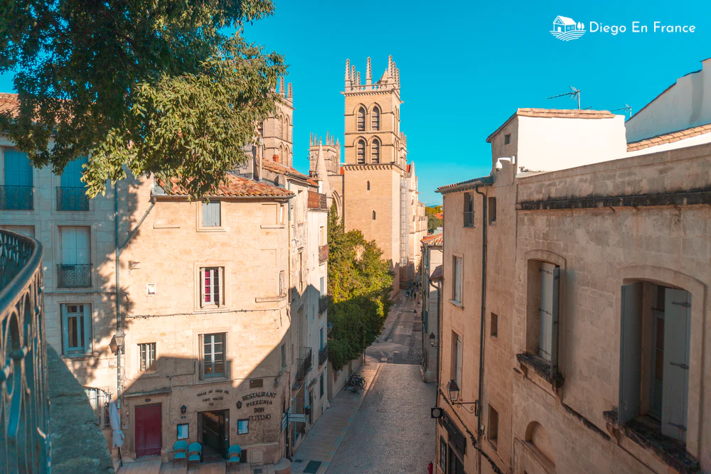 Visiter Montpellier en 1 jour : La Cathédrale Saint-Pierre