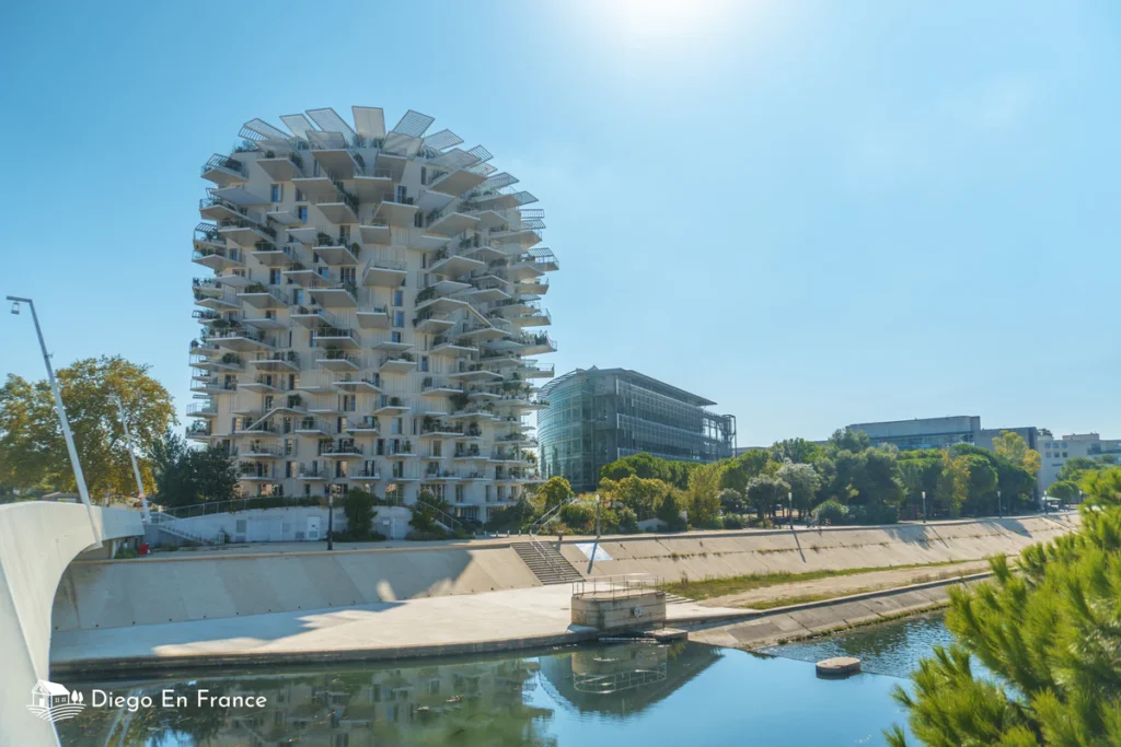 Visiter Montpellier en 1 jour : Le Lez et L'Arbre Blanc