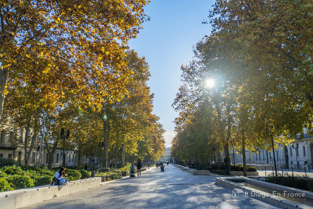 Vue de l'entrée monumentale de Nîmes, l'Esplanade, avec la gare ferroviaire en arrière-plan et les platanes baignés de soleil.