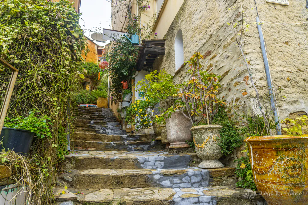 Calle empedrada estrecha con macetas, fachadas de piedra y vegetación en Bormes-les-Mimosas