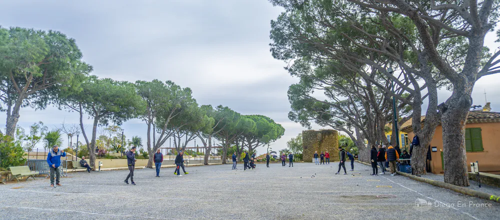 Plaza abierta con pinos mediterráneos y visitantes caminando en Bormes-les-Mimosas