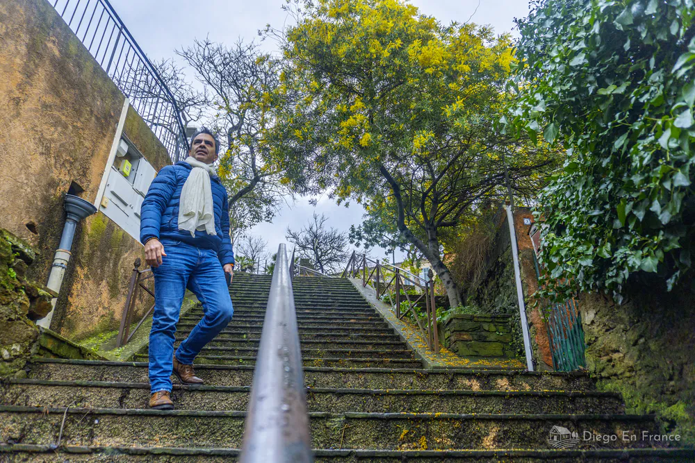 Hombre subiendo escaleras de piedra entre muros antiguos y árboles de mimosa en Bormes-les-Mimosas