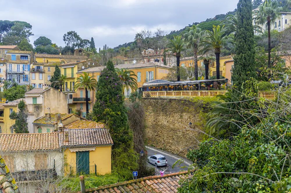 Vista elevada de Bormes-les-Mimosas con casas provenzales, palmeras y colinas cubiertas de vegetación