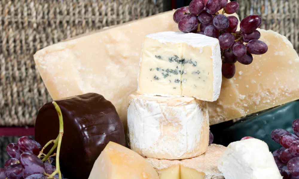 Local cheeses from the Tarn, perfect as a gourmet souvenir or to pair with wines.