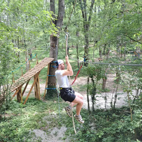 Adventure park in the trees near Lavaur, perfect for active families.