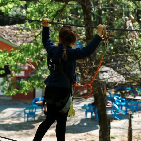 Adventure park in the trees near Lavaur, perfect for active families.