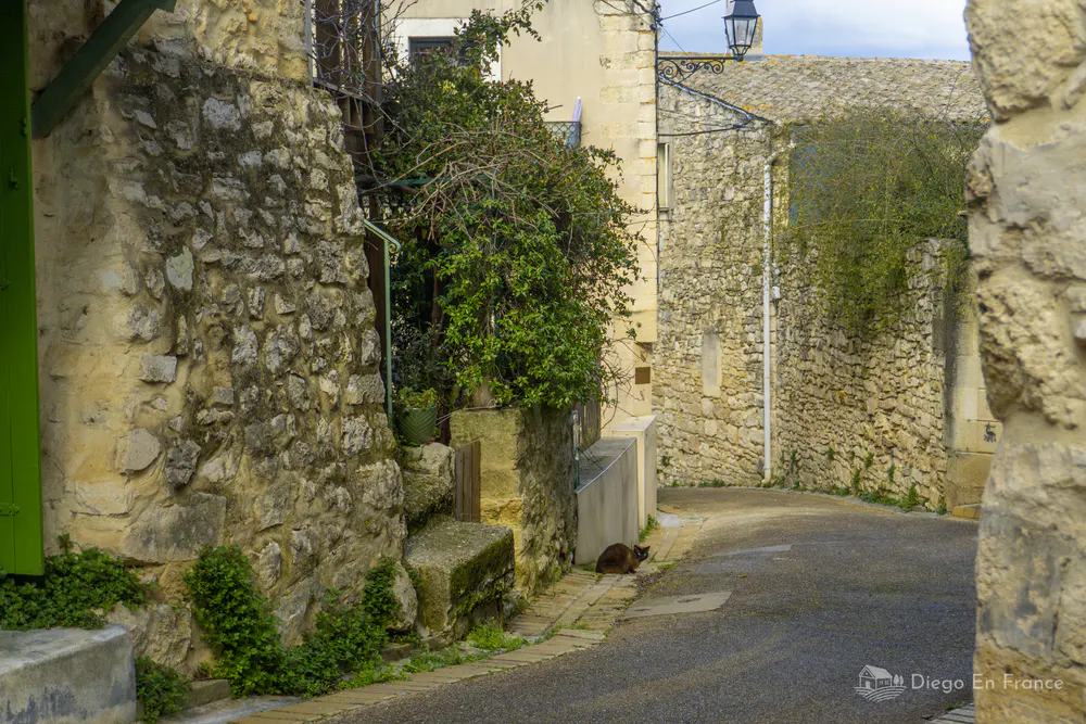 Cobblestone street with old houses in Saussines - Photo by diegoenfrance.com