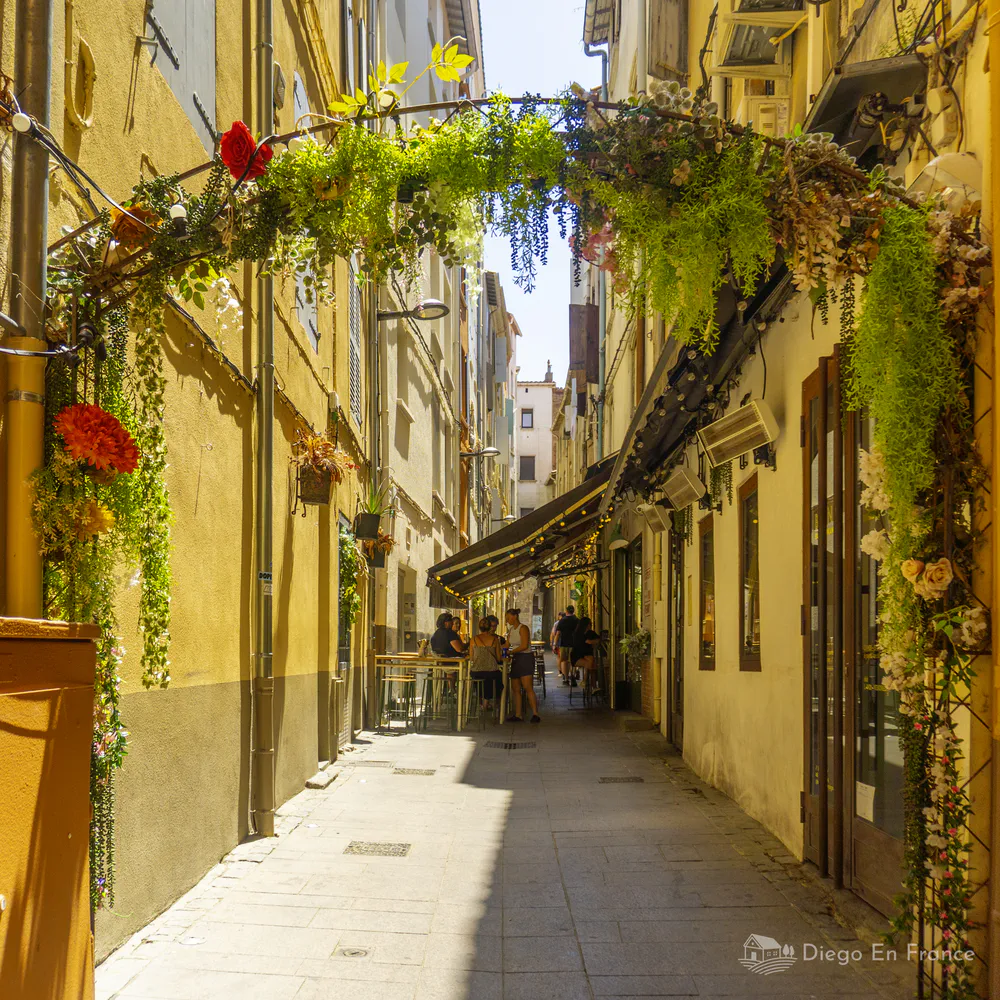 Fotografía de diegoenfrance.com de una calle estrecha decorada con flores en el centro histórico de Perpiñán