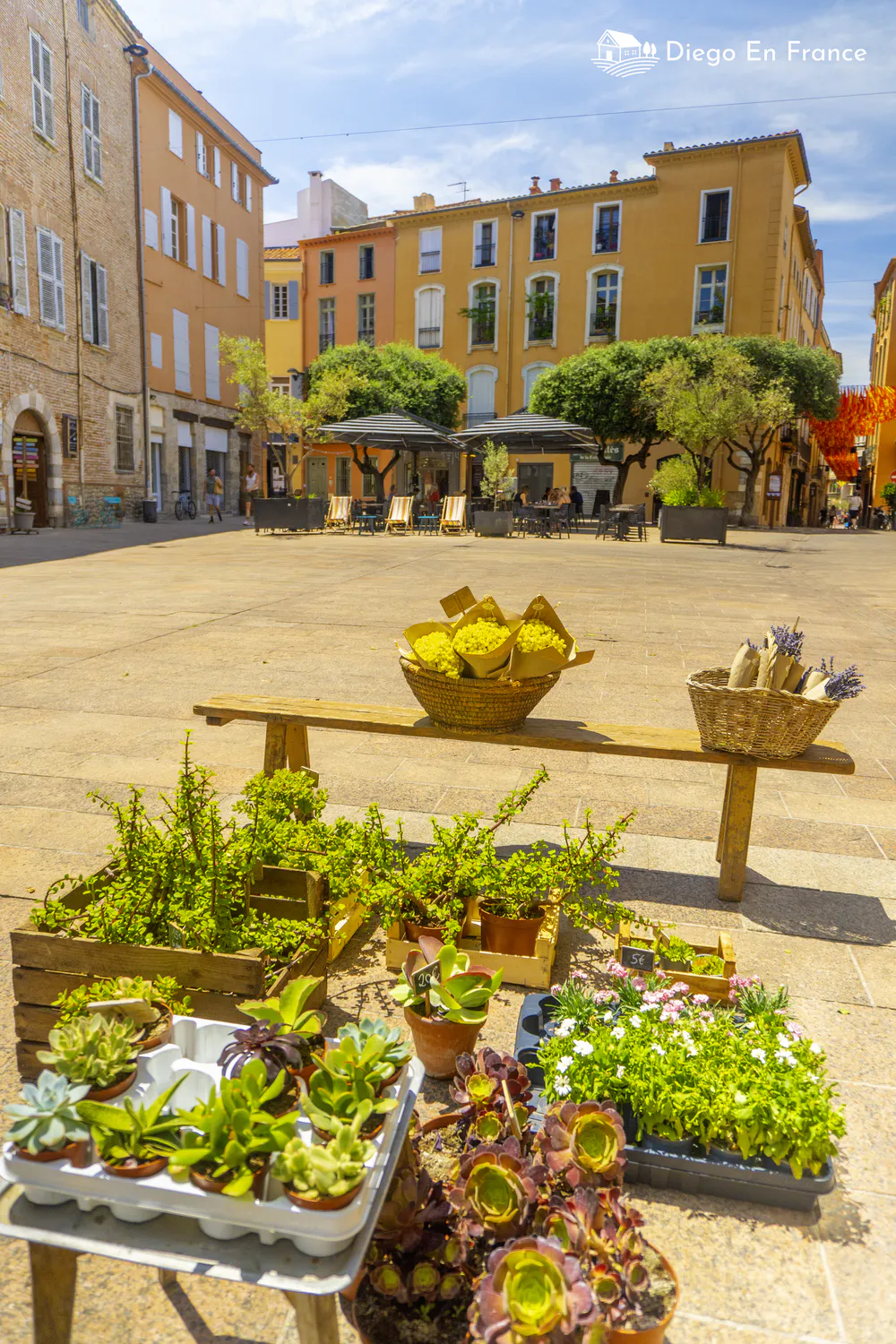 Fotografía de diegoenfrance.com de un puesto de plantas y hierbas en una plaza tranquila del centro histórico de Perpiñán